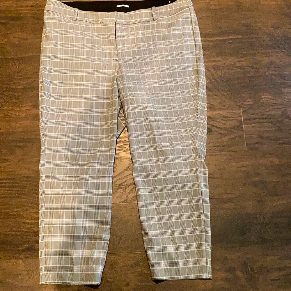 Women’s Dress Pants